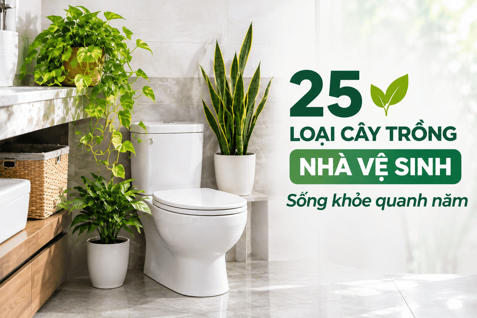 Cây Tổ Chim