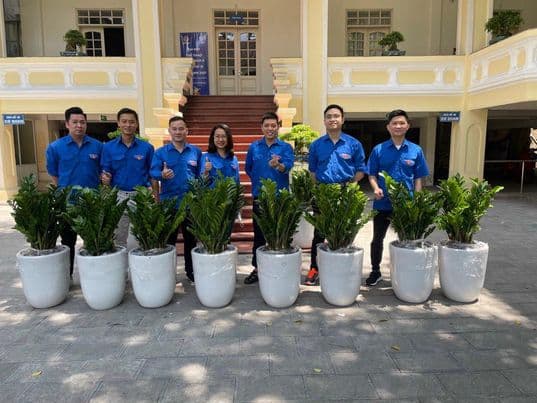Cây Xà Cừ