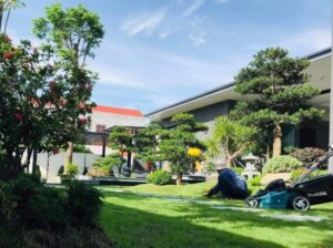 Thiết kế cảnh quan