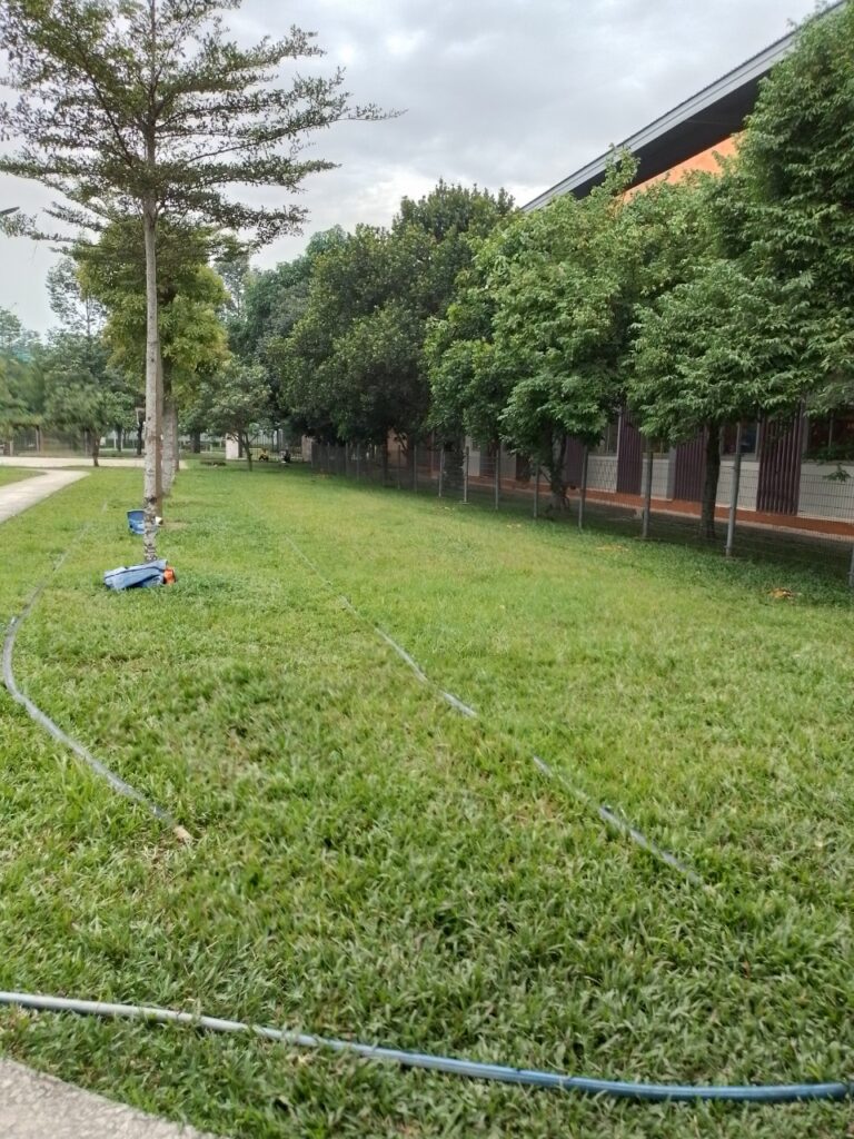 Chăm Sóc Cảnh Quan Sân Vườn Hiệu Quả chăm sóc cỏ