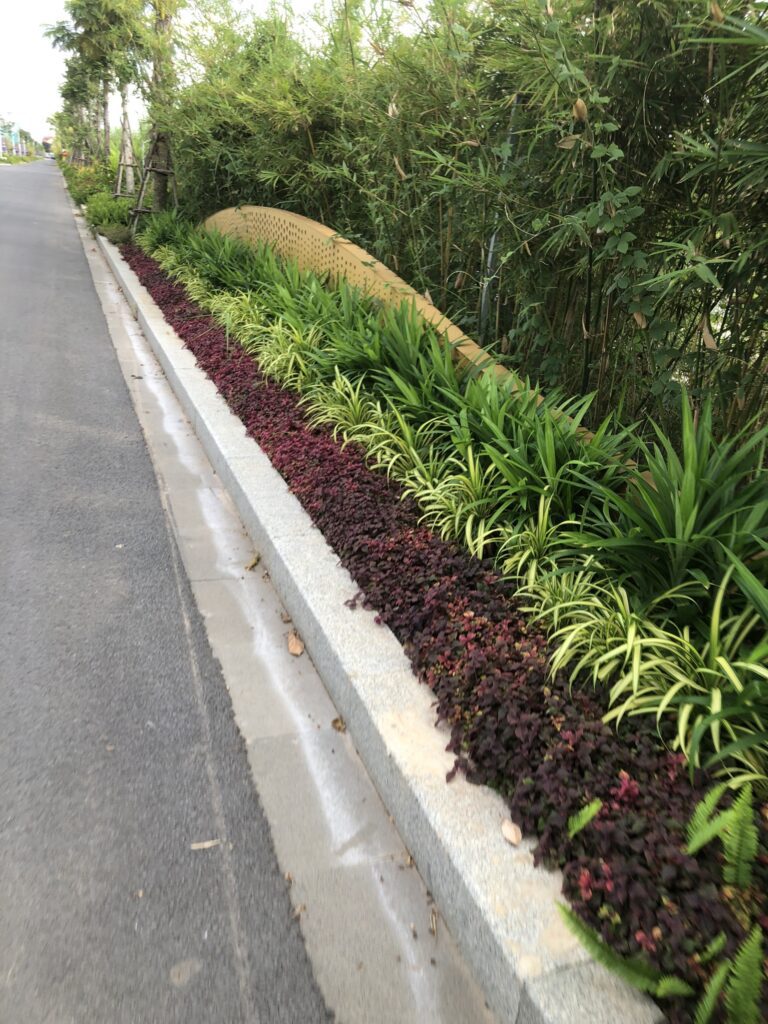 Chăm Sóc Cảnh Quan Sân Vườn Hiệu Quả cham soc canh quan