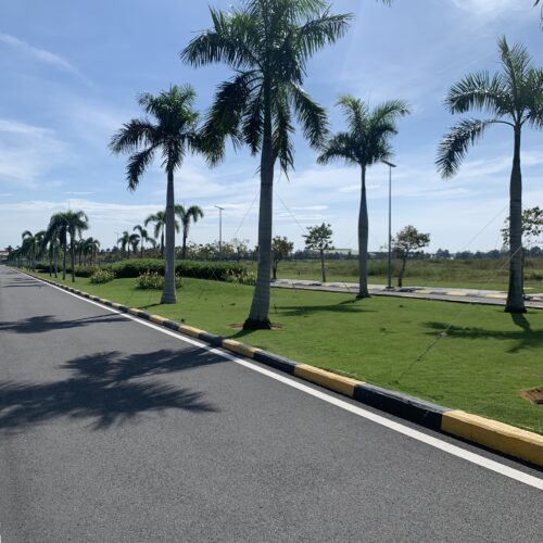 Trang Chủ Cây Công Trình