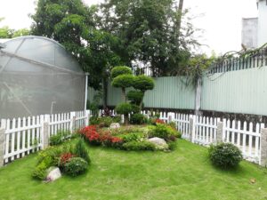 cham soc san vuon