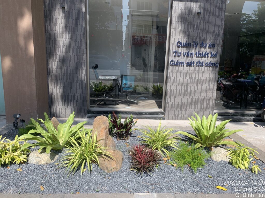 cham soc san vuon dep