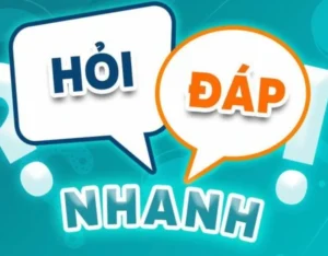 hoi dap nhanh